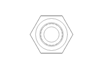 Hexagon screw M10x110 A2-70 DIN 933
