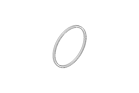 Sealing ring S=16 D=500 MVQ